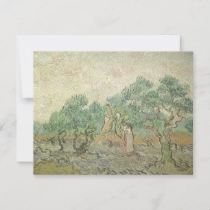 Vincent van Gogh - Recolección de aceitunas