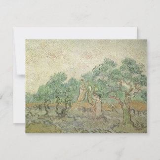 Vincent van Gogh - Recolección de aceitunas