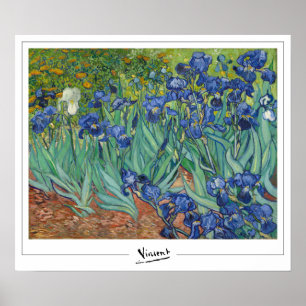 Vincent Van Gogh Zedign cartel de arte #45-3