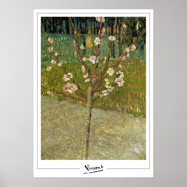 Vincent Van Gogh Zedign Poster de arte #14-3 (Frente)