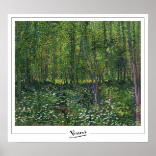 Vincent Van Gogh Zedign Poster de arte #31-3