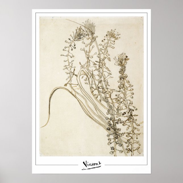 Vincent Van Gogh Zedign Poster de arte #356-3 (Frente)