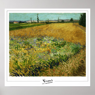 Vincent Van Gogh Zedign Poster de arte #4