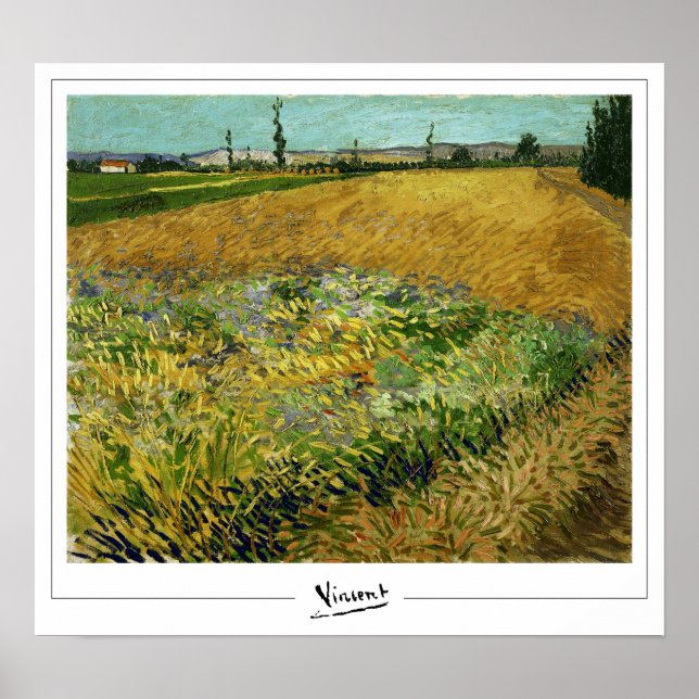 Vincent Van Gogh Zedign Poster de arte #4 (Frente)