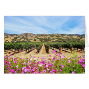 Viñedo de Napa Valley California