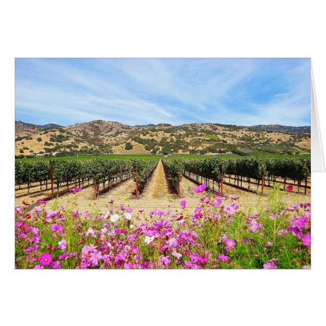 Viñedo de Napa Valley California (Anverso (Horizontal))