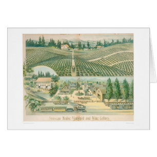Viñedo de Nouveau Medoc y bodegas (1213A)