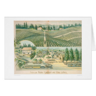 Viñedo de Nouveau Medoc y bodegas (1213A)
