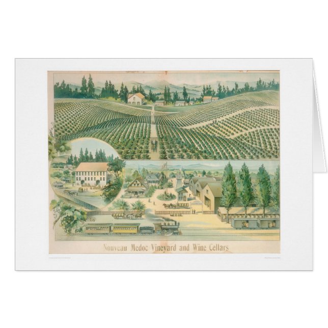 Viñedo de Nouveau Medoc y bodegas (1213A) (Anverso (Horizontal))