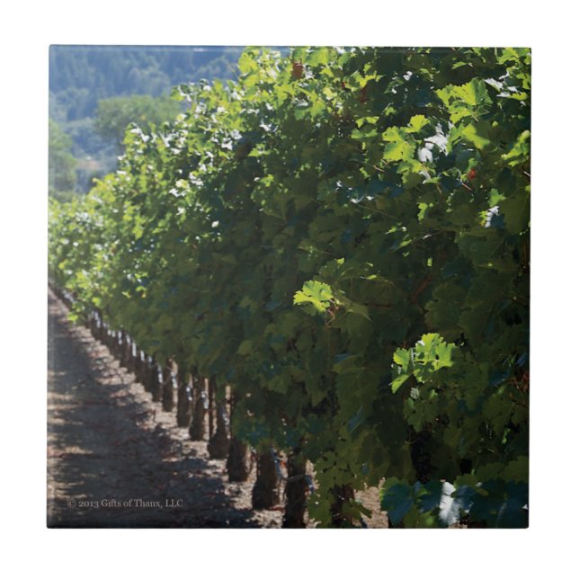Viñedo del condado de Sonoma - baldosa cerámica (Frente)