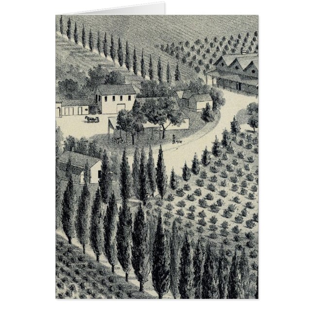 Viñedo Eggers, Fresno (Frente)