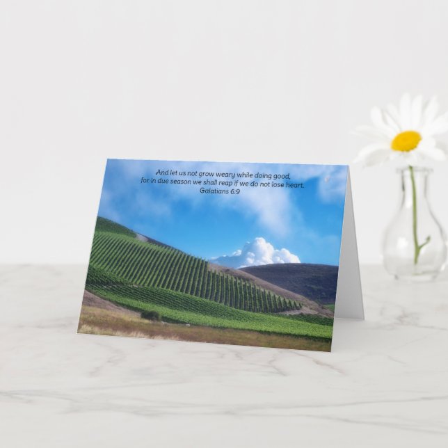 Viñedo y Tarjeta de Fe con Versículo Bíblico (Planta pequeña)