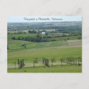 Viñedos en Platteville, postal de Wisconsin