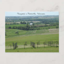 Viñedos en Platteville, Wisconsin Tarjeta postal