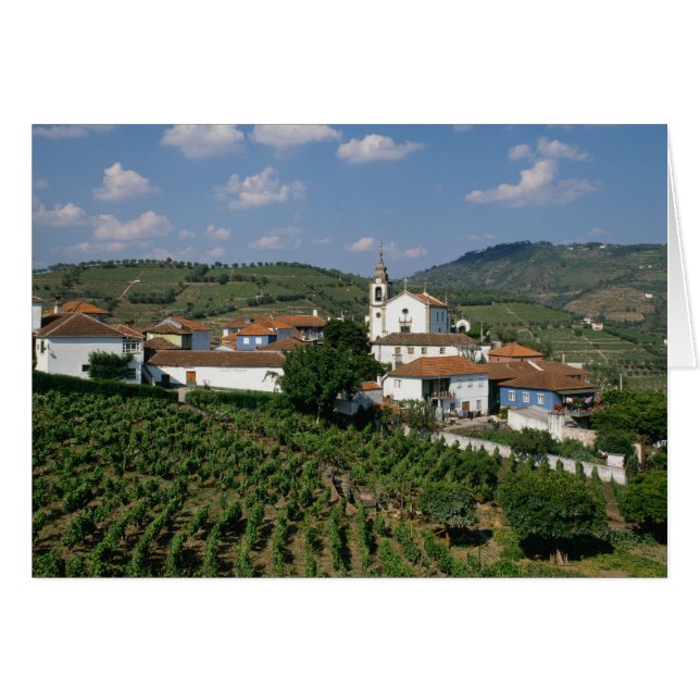 Viñedos, pueblo de San Miguel, Douro (Anverso (Horizontal))