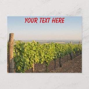 Viñedos Tokaj, postal personalizable de Hungría