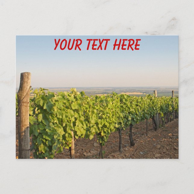Viñedos Tokaj, postal personalizable de Hungría (Anverso)