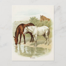 Viñeta animal lindo postal