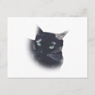 Viñeta de las postales de la cara del gato de la c