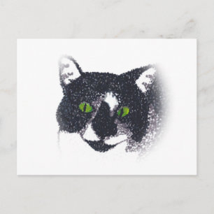 Viñeta de postales faciales de gato de Tuxedo