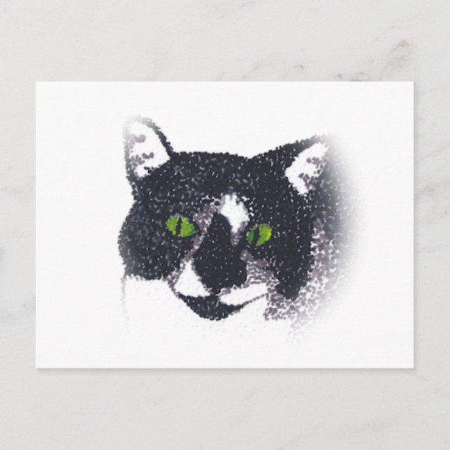 Viñeta de postales faciales de gato de Tuxedo (Anverso)