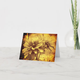 Viñeta Sepia Daisies Tarjeta de Nota Floral