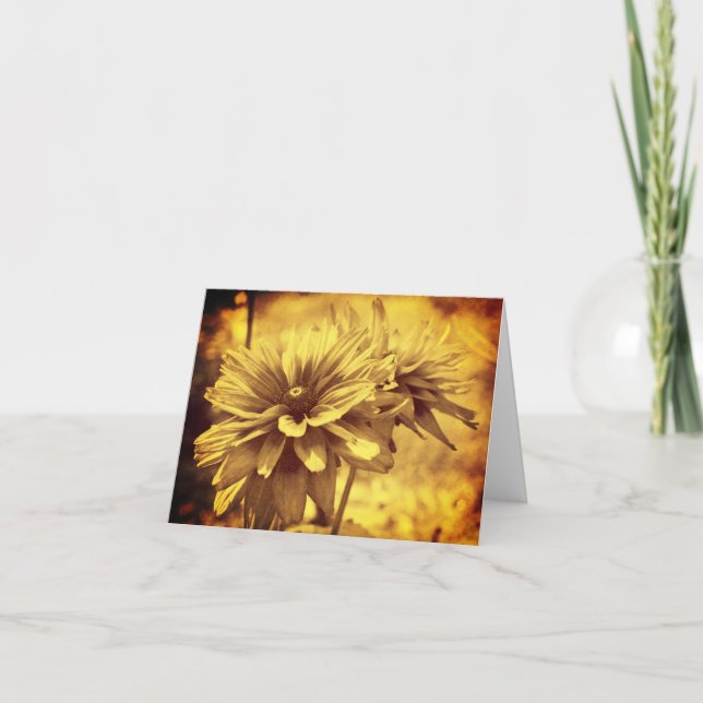 Viñeta Sepia Daisies Tarjeta de Nota Floral (Anverso)