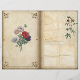 Viñetas Vintage Página de Diario Botánico Victoria