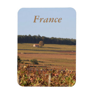 Viñetería en Francia impresa en un imán