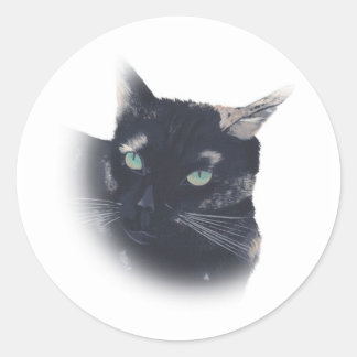 Viñette de Tortoise Shell Cat Face Pegatinas