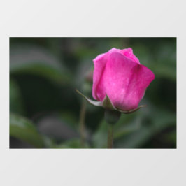 Vinilo para ventana - Elegante capullo de rosa ro