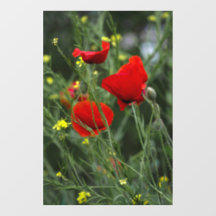 Vinilo para ventana - Fotografía de amapolas rojas