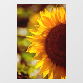 Vinilo para ventana - Fotografía de girasol en el