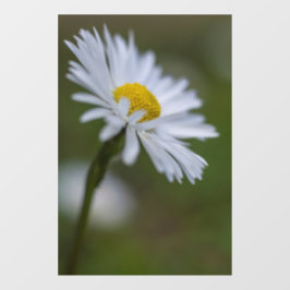 Vinilo para ventana - Fotografía de naturaleza flo