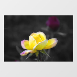 Vinilo para ventana - Fotografía de rosa amarilla
