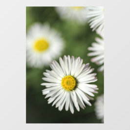 Vinilo para ventana - Fotografía floral de margari