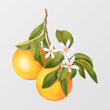 Naranjas y Flores en una Rama Mercado