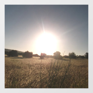 VINILOS PARA CRISTALES