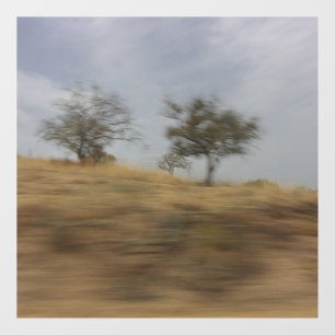 VINILOS PARA CRISTALES 