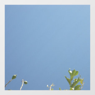 VINILOS PARA CRISTALES