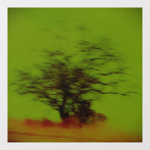 VINILOS PARA CRISTALES