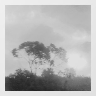 VINILOS PARA CRISTALES