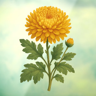 VINILOS PARA CRISTALES