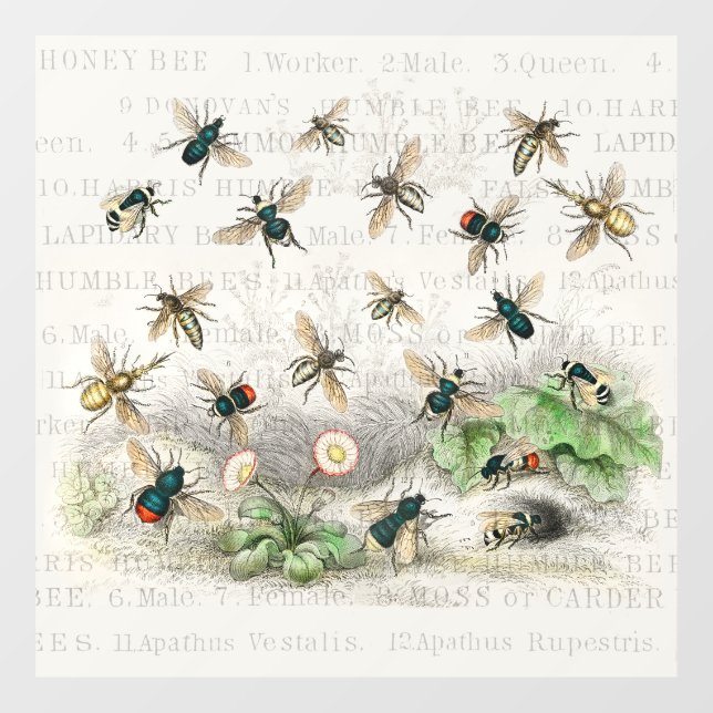 Vinilos Para Cristales Abeja Miel Trabajador Reina Abejas Antigüo (Hoja)