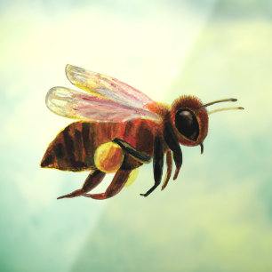 Vinilos Para Cristales Abeja volando