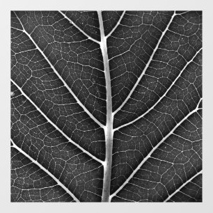 Vinilos Para Cristales Acercamiento de la hoja brillante en blanco y negr