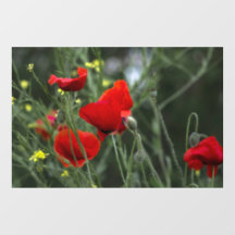Adhesivo para Ventana - Amapolas Silvestres en la 