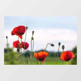 Vinilos Para Cristales Adhesivo para Ventana - Amapolas Silvestres Ilumin
