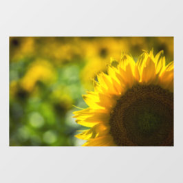 Vinilos Para Cristales Adhesivo para Ventana - Elegancia de Girasol