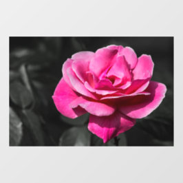 Vinilos Para Cristales Adhesivo para ventana - Elegancia de rosa rosa